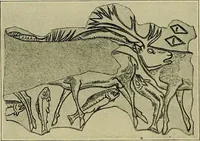 Picture 220 of 282 from Men of the old stone age, their environment, life and art (1918), leaf 451