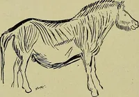 An illustration from Men of the old stone age, their environment, life and art (1918)