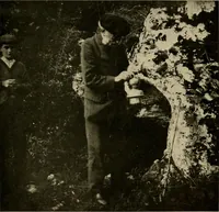 Picture 226 of 282 from Men of the old stone age, their environment, life and art (1918), leaf 456