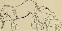 An illustration from Men of the old stone age, their environment, life and art (1918)