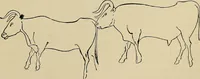 Picture 229 of 282 from Men of the old stone age, their environment, life and art (1918), leaf 458