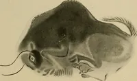 Picture 239 of 282 from Men of the old stone age, their environment, life and art (1918), leaf 472