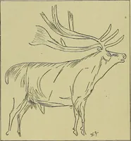 An illustration from Men of the old stone age, their environment, life and art (1918)