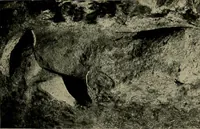 An illustration from Men of the old stone age, their environment, life and art (1918)