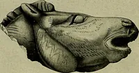 An illustration from Men of the old stone age, their environment, life and art (1918)