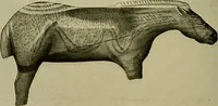 An illustration from Men of the old stone age, their environment, life and art (1918)