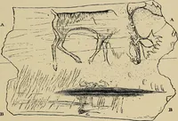 An illustration from Men of the old stone age, their environment, life and art (1918)
