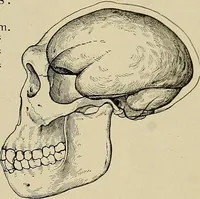 An illustration from Men of the old stone age, their environment, life and art (1918)