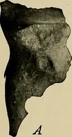 Picture 4 of 282 from Men of the old stone age, their environment, life and art (1918), leaf 52