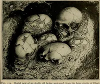 Picture 260 of 282 from Men of the old stone age, their environment, life and art (1918), leaf 524