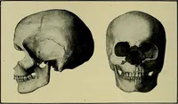 An illustration from Men of the old stone age, their environment, life and art (1918)