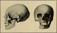 An illustration from Men of the old stone age, their environment, life and art (1918)