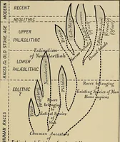 Picture 268 of 282 from Men of the old stone age, their environment, life and art (1918), leaf 538