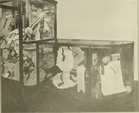 An illustration from Men's wear of Canada (January-December 1912) (1912)