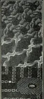Picture 375 of 496 from Men's wear of Canada (January-December 1913) (1913), leaf 448