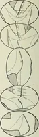 An illustration from Men's wear of Canada (January-December 1913) (1913)