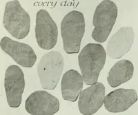 Picture 151 of 455 from Men's wear of Canada (January-December 1914) (1914), leaf 163
