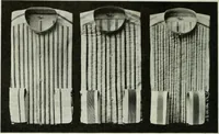 Picture 176 of 455 from Men's wear of Canada (January-December 1914) (1914), leaf 187
