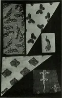 Picture 181 of 455 from Men's wear of Canada (January-December 1914) (1914), leaf 190