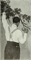 Picture 369 of 455 from Men's wear of Canada (January-December 1914) (1914), leaf 441