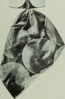Picture 220 of 770 from Men's wear of Canada (January-December 1915) (1915), leaf 214