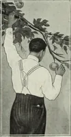 Picture 236 of 770 from Men's wear of Canada (January-December 1915) (1915), leaf 225