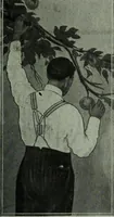 Picture 12 of 770 from Men's wear of Canada (January-December 1915) (1915), leaf 26