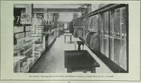Picture 46 of 770 from Men's wear of Canada (January-December 1915) (1915), leaf 66