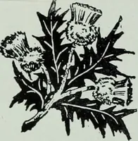 An illustration from Men's wear of Canada (January-December 1915) (1915)