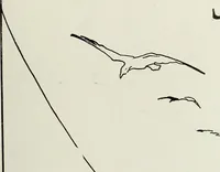 An illustration from Men's wear of Canada (January-December 1916) (1916)