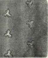 Picture 67 of 841 from Men's wear of Canada (January-December 1916) (1916), leaf 60
