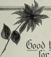 An illustration from Men's wear of Canada (January-December 1916) (1916)