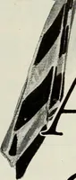 An illustration from Men's wear of Canada (January-December 1916) (1916)