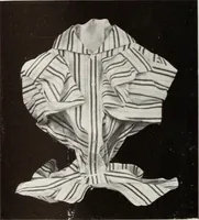 Picture 108 of 985 from Men's wear of Canada (January-December 1917) (1917), leaf 121