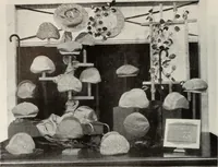 Picture 295 of 985 from Men's wear of Canada (January-December 1917) (1917), leaf 291