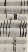 Picture 303 of 985 from Men's wear of Canada (January-December 1917) (1917), leaf 309