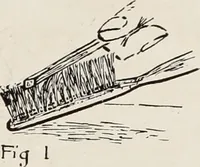 An illustration from Men's wear of Canada (January-December 1917) (1917)