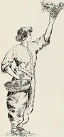 Picture 348 of 985 from Men's wear of Canada (January-December 1917) (1917), leaf 341