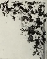 Picture 510 of 985 from Men's wear of Canada (January-December 1917) (1917), leaf 499