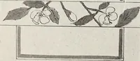 Picture 543 of 985 from Men's wear of Canada (January-December 1917) (1917), leaf 531