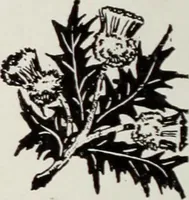 An illustration from Men's wear of Canada (January-December 1917) (1917)