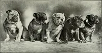 An illustration from Men's wear of Canada (January-December 1917) (1917)