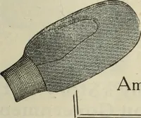 An illustration from Men's wear of Canada (January-December 1917) (1917)