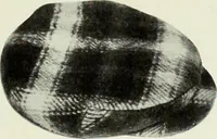 An illustration from Men's wear of Canada (January-December 1918) (1918)