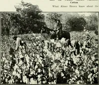 Picture 213 of 928 from Men's wear of Canada (January-December 1918) (1918), leaf 207