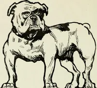 An illustration from Men's wear of Canada (January-December 1918) (1918)