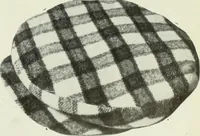 Picture 298 of 928 from Men's wear of Canada (January-December 1918) (1918), leaf 300