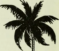 An illustration from Men's wear of Canada (January-December 1918) (1918)