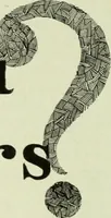 Picture 515 of 928 from Men's wear of Canada (January-December 1918) (1918), leaf 515