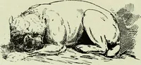 An illustration from Men's wear of Canada (January-December 1918) (1918)